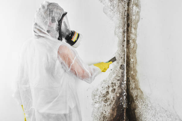 Coats Bend, AL Mold Remediation Company